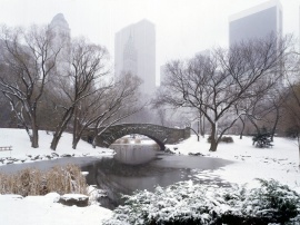 Central Park in winter Обои