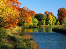 Credit River Ontario Wallpaper