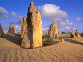 Pinnacles Desert Обои