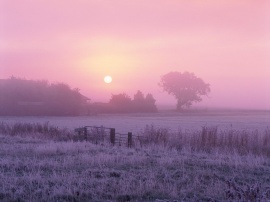 Frosty Farmland Обои