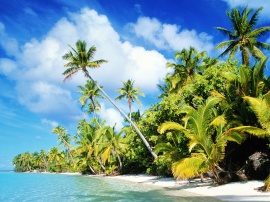 Beach paradise Wallpaper