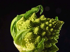 Fresh Broccoli Wallpaper