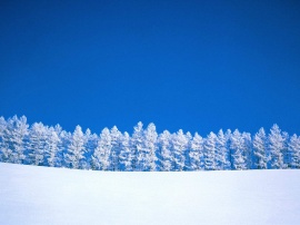 Winter Clearing Wallpaper