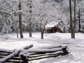 Carter Shields Cabin Обои