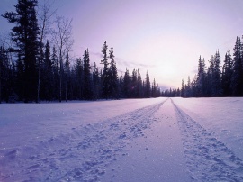 Snow in Road Обои
