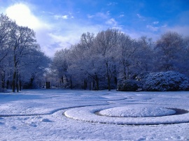 Winter in Park Обои