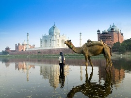 Yamuna River Обои