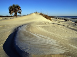 Cumberland Island Wallpaper