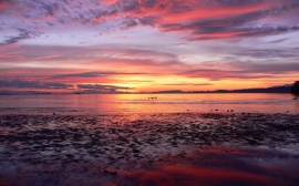 Comox Sunrise Wallpaper