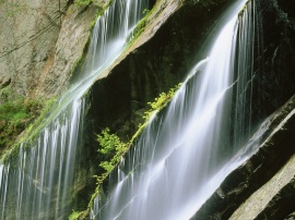 Cascading Water Wallpaper