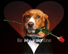 Be My Valentine Wallpaper