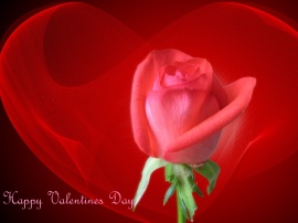 Happy Valentines Day Обои