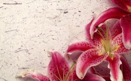 Decor Lily Wallpaper