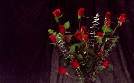 Bunch of Red Roses Обои