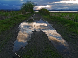 Sky Puddle Wallpaper