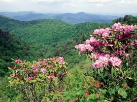 Blue Ridge Parkway Обои