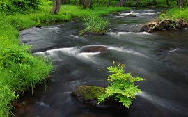 River Across Обои