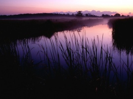 Sunset in Refuge Wallpaper