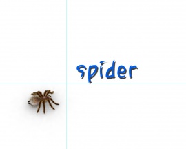 Spider Desk Wallpaper