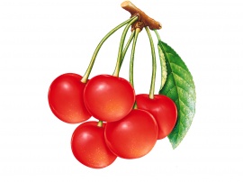 Red Cherry Wallpaper