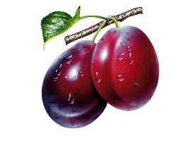 Plums Wallpaper