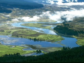 Yellowstone River Обои