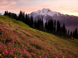 Glacier Peak Wallpaper