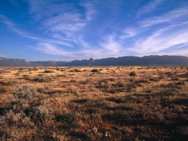 Karoo Wallpaper