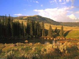 Lamar River Valley Обои