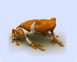 Frog wallpapers and photos Wallpaper