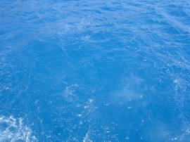 Blue Water Wallpaper