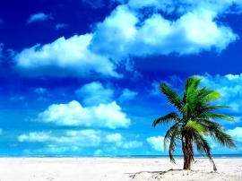 Holiday Beach Wallpaper