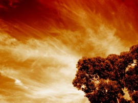 Fire Sky Wallpaper