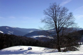 Winter Landscape Обои