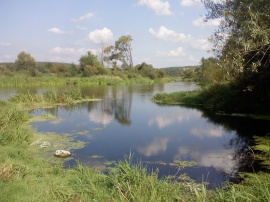 Poland River Обои