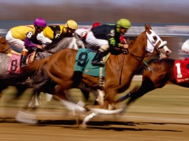 Horse Racing Wallpaper