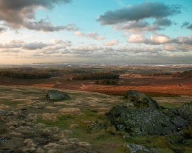 Stones fields trees Wallpaper