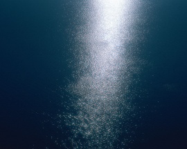 Water Twinkle Wallpaper