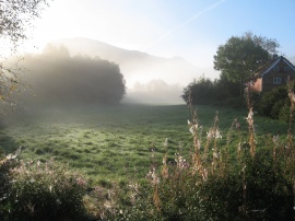 Morning Fog Wallpaper