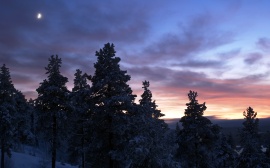 Northern Sunset Обои