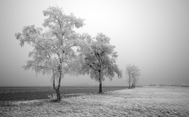 Frozen Road Wallpaper