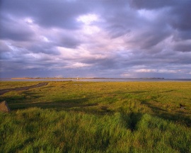 Holy Island Road Wallpaper