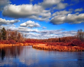 Red Dry Along River Обои