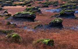 Wind Rocks Wallpaper