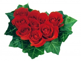 Leaf Roses Heart Обои