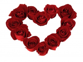 Heart Roses Ground Обои