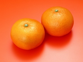 Orange Citrics Обои