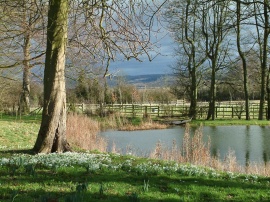 Snowdrops near lake Обои