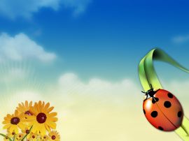 Bugs in summertime Wallpaper