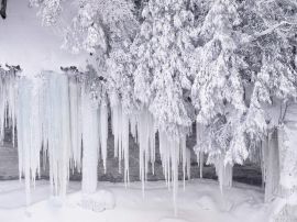 Frozen scenery Wallpaper
